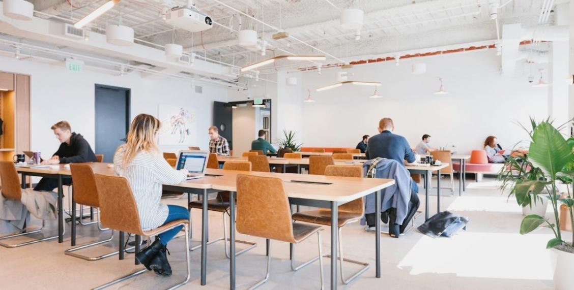 Course materials covering search ranking fundamentals